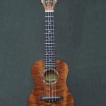 Ukulele-koag